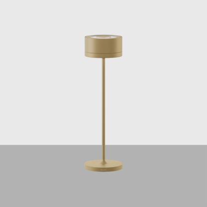 iGuzzini - Whisper UP/DOWN- champagne